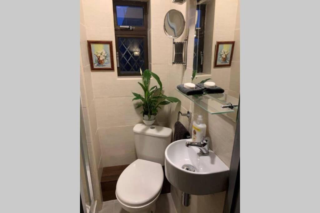 Upstairs Studio - Private Kitchenette And Small En-Suite Dublin Ngoại thất bức ảnh