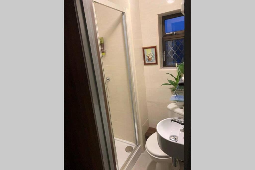 Upstairs Studio - Private Kitchenette And Small En-Suite Dublin Ngoại thất bức ảnh